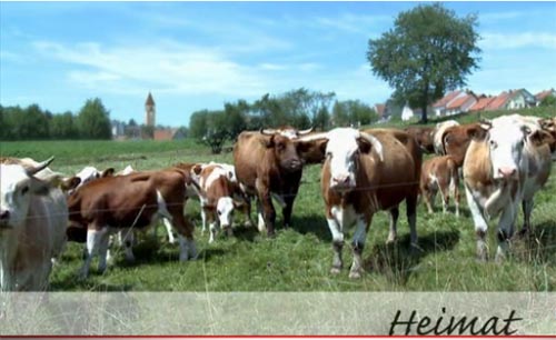 Thüringer Natur